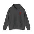 AMOUR HOODIE